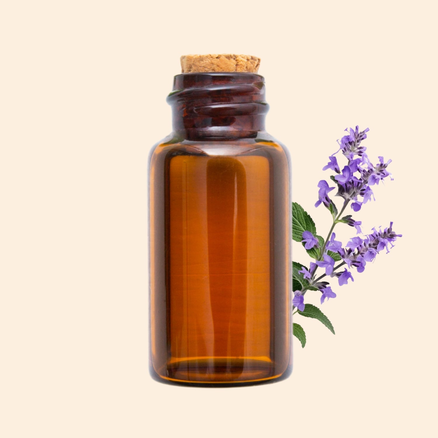 Shoprythm Hydrosols Clary Sage Hydrosol Shoprythm Hydrosols Clary Sage Hydrosol